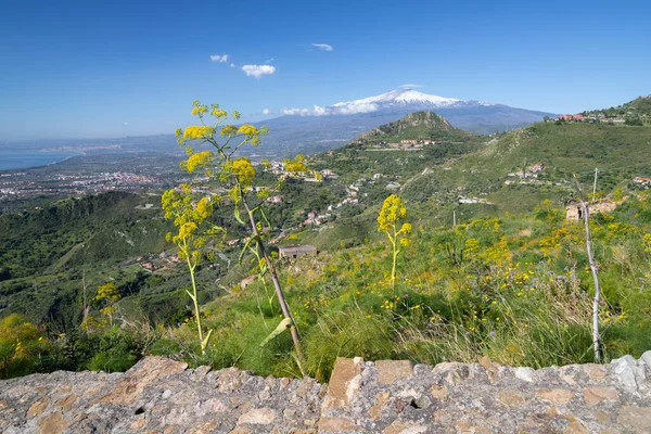 Taormina Path Spring Mediterranean Flowers Etna Volcano — Stock Photo, Image