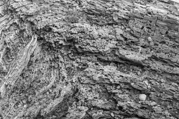 Parte Muerte Del Árbol Viejo Detalle —  Fotos de Stock