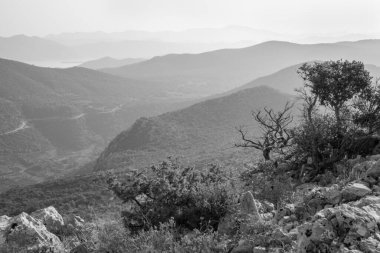 Hırvatistan - Sveti İvan zirvesinden Zuliana yakınlarındaki Peliesac yarımadası ve sahili.