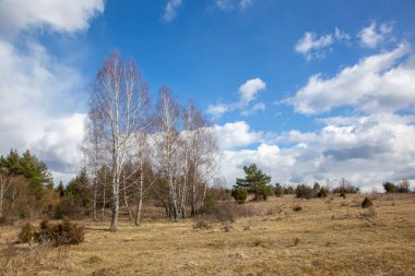 Slovakya - Silika Planina yaylasında bahar.