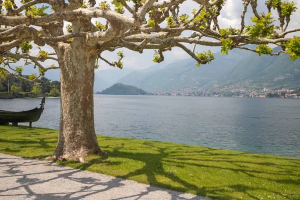 Belaggio Italy May 2015 Villa Melzi Waterfront Como Lake Gardens — Stock Photo, Image