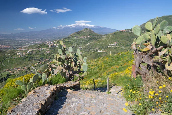 Taormina Path Spring Mediterranean Flowers Etna Volcano — Stock Photo, Image