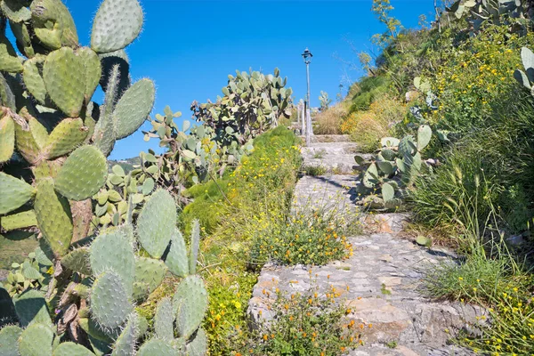 Rock Path Sicilian Landscape Taromina — Stock Photo, Image