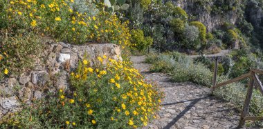 Taormina - Bahar Akdeniz çiçeklerinin arasındaki patika.