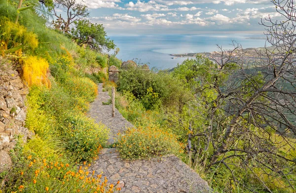 Taormina Stigen Bland Vårens Medelhavsblommor Och Kaktus Sicilien — Stockfoto