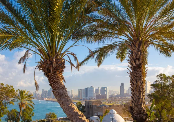 Tel Aviv Küste Und Uferpromenade Von Tel Aviv — Stockfoto