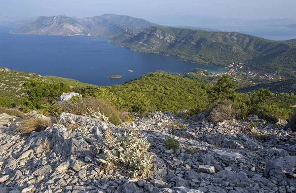 Croatia Panoramatic Landscape Coast Peliesac Peninsula Zuliana Sveti Ivan Peak — Stock Photo, Image