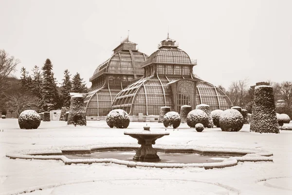 Viena Austria Enero 2013 Los Invernaderos Del Palacio Schonbrunn Invierno —  Fotos de Stock