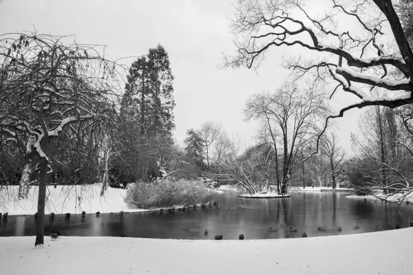 维也纳 冬季早晨的斯塔特公园 — 图库照片