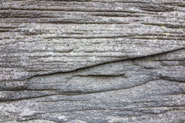 Moos ve andezit taşı - arka plan üzerinde liken