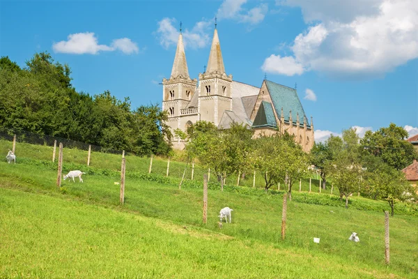 Spiska Kapituła - gotycka katedra saint martins z południowo-zachodniej. zabytek UNESCO. — Zdjęcie stockowe