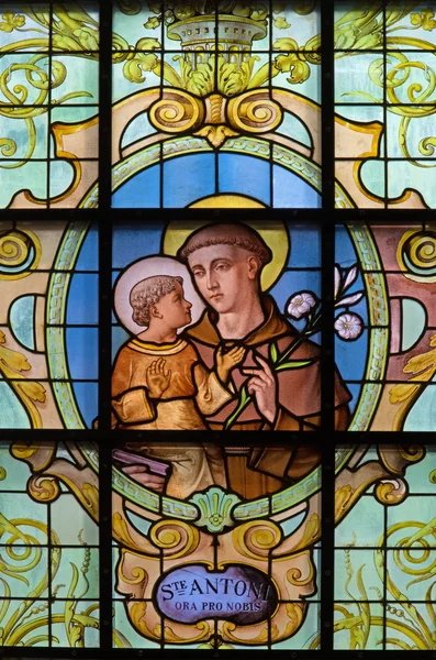 Bryssel, Belgien - 15 juni 2014: st. anthony i padua på windwopane i kyrkan notre dame aux rikedom claires av jan van keer (1904) — Stockfoto