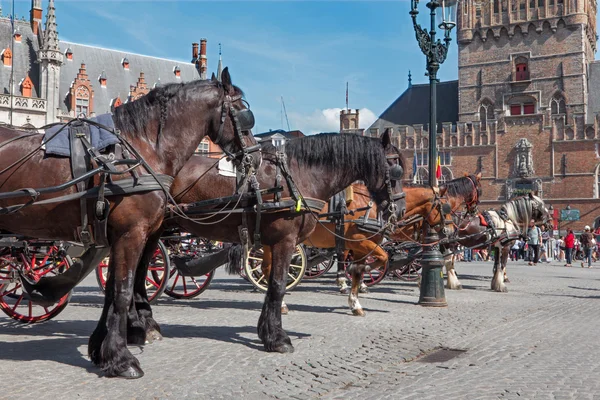 BRUGES, BÉLGICA - 12 DE JUNIO DE 2014: El transporte en Grote Markt y Belfort van Brugge en segundo plano . — Foto de Stock