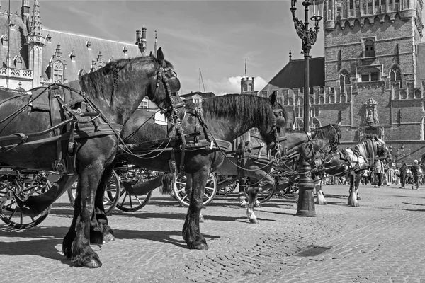 BRUGES, BELGIUM - JUNE 12, 2014: The Carriage on the Grote Markt and Belfort van Brugge di latar belakang . — Stok Foto