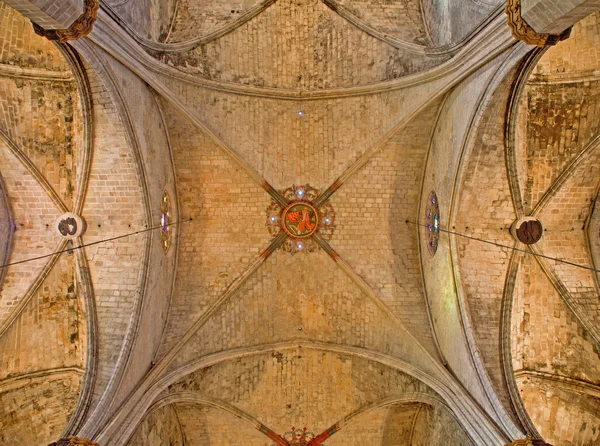 巴塞罗那-拱从哥特式大教堂的圣塔玛丽亚 del mar — 图库照片