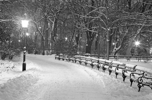 Wien - stadtpark im wintermorgen — Stockfoto