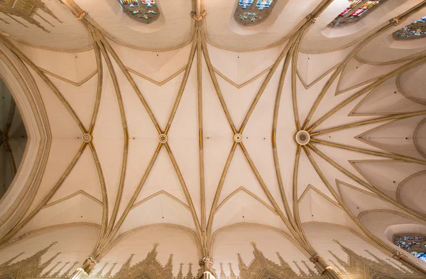 TRNAVA, ESLOVAQUIA - 14 DE OCTUBRE DE 2014: El techo del presbiterio de la iglesia gótica de San Nicolás . —  Fotos de Stock