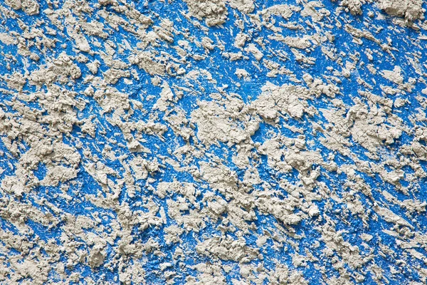 Dry clarts on the blue wall — Stock Photo, Image
