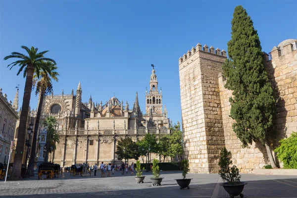 Sevilla, Španělsko - 28 října 2014: Katedrála de Santa Maria de la Sede s zvonicí Giralda a stěnami Alcazar. — Stock fotografie