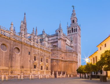 Seville - Cathedral de Santa Maria de la Sede with the Giralda bell tower in morning dusk. clipart