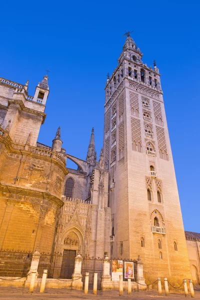 Sevilla - Kathedraal van Santa Maria de la Sede met de klokkentoren van Giralda in de ochtendschemering. — Stockfoto