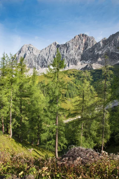 Déli oldalán helyezkedik el a dachstein-hegység - Ausztria — Stock Fotó