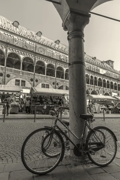 Padwa, Włochy - 9 września 2014: Piazza delle Erbe oraz Palazzo della Ragione. — Zdjęcie stockowe