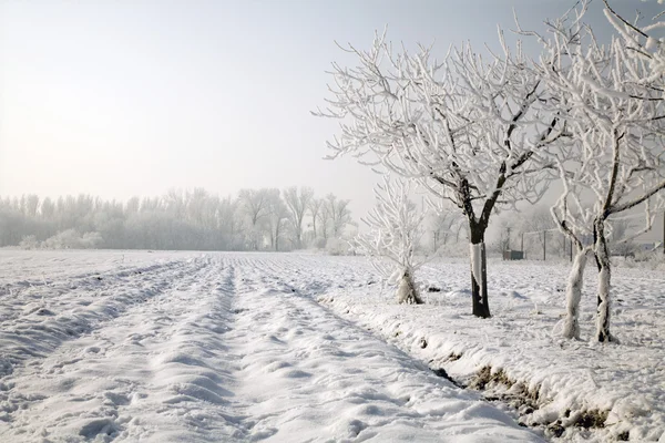 Winter in der Landschaft - Westslowakei — Stockfoto