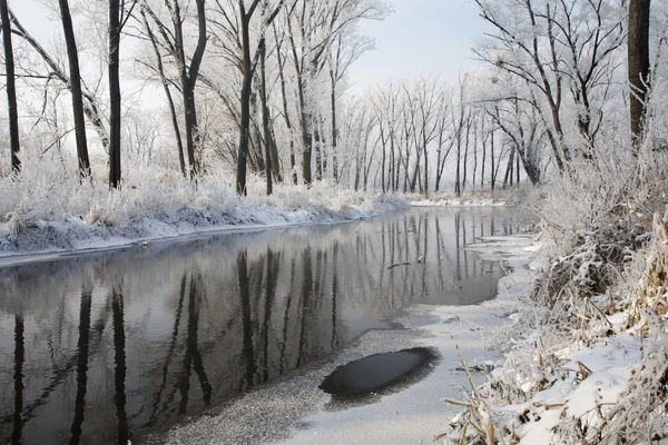 River Little Danube in winter — Stock Photo, Image