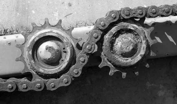 Tooth wheel from old harvester — Stock Photo, Image