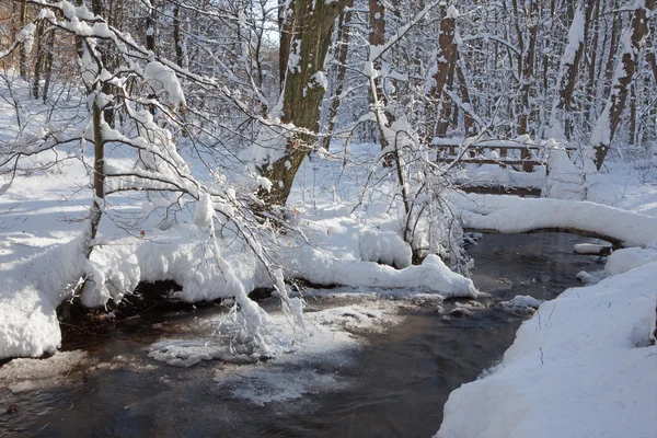Creek in winter forest in Little Carpathian hills - Slovakia — Stock Photo, Image