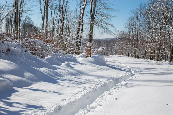 Caminho na floresta de inverno em pequenas colinas dos Cárpatos Eslováquia — Fotografia de Stock