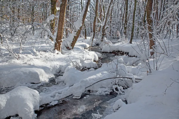 Potok w lesie zimowym w Little Carpathian Hills - Słowacja — Zdjęcie stockowe