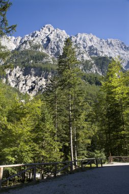 Julian alps - Aliazevov dom'bakışı