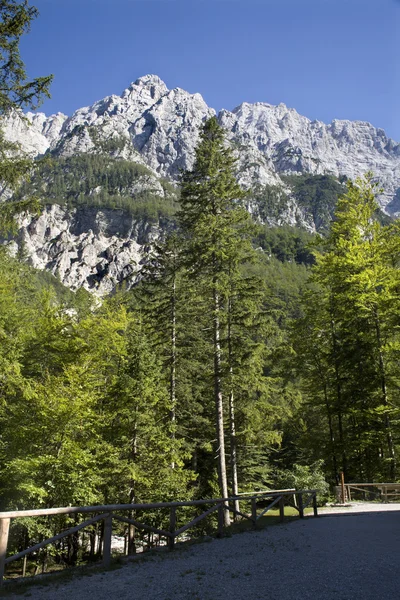 Julian alps - look from Aliazevov dom — Stock Photo, Image