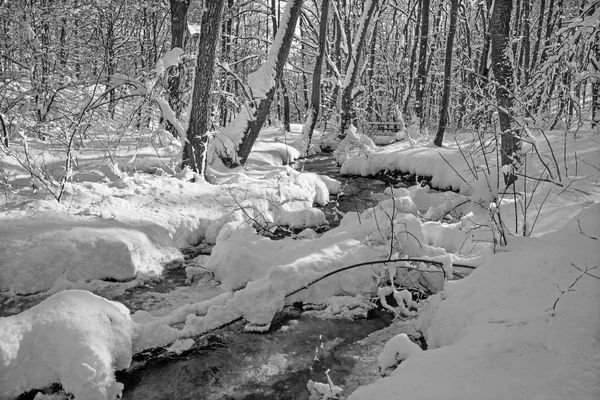 Creek in winter forest in Little Carpathian hills - Slovakia — Stock Photo, Image