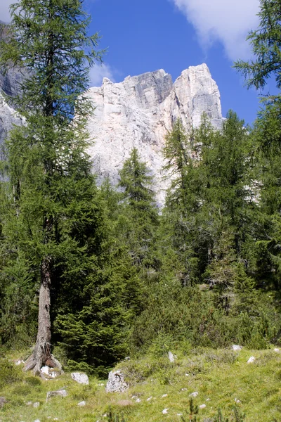 Massif mt. pelmo - dolomite — Stock Photo, Image