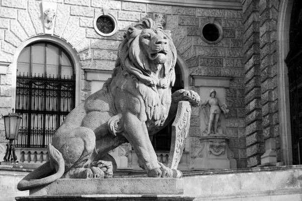 Wien - lion för Nationalbiblioteket — Stockfoto
