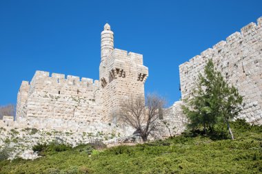 Jerusalem - David Kulesi
