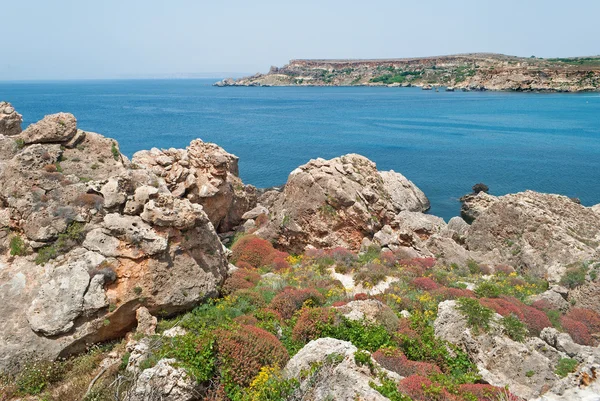 Malta - kusten Garrigue stäppen, Plaz Gnajn Tuffiena Bay, Melliena — Stockfoto
