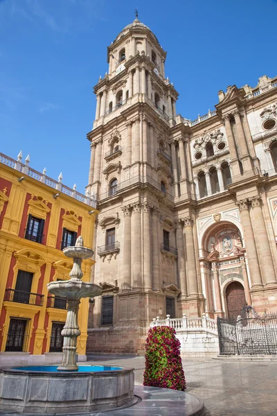 Malaga, İspanya - 31 Mayıs 2015: The Cathedral Kulesi ve Plaza del Obispo çeşmeden. — Stok fotoğraf