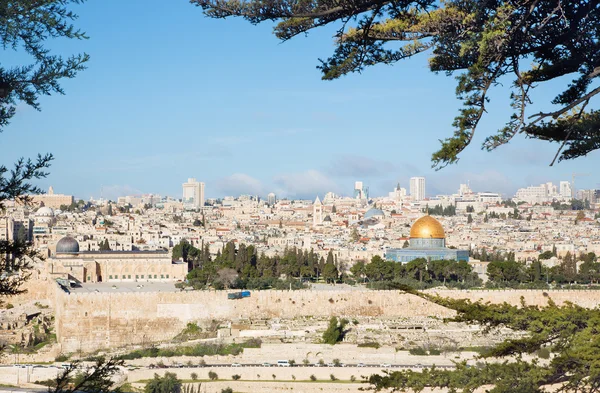 耶路撒冷- -从橄榄山到古城的远景 — 图库照片