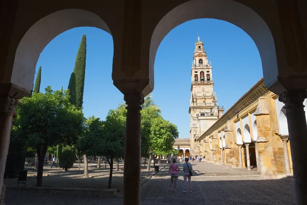 Cordoba, Španělsko – 28. května 2015: Věž katedrály z pomerančovníku nádvoří. — Stock fotografie