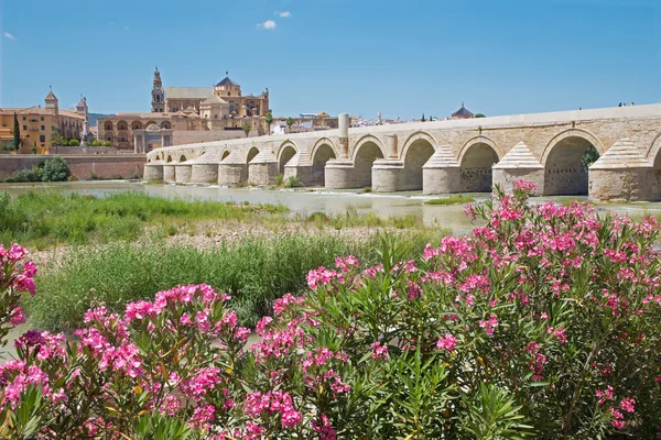 Cordoba - die römische Brücke und die Kathedrale im Hintergrund. — Stockfoto