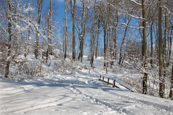 Caminho na floresta de inverno em pequenas colinas dos Cárpatos Eslováquia — Fotografia de Stock