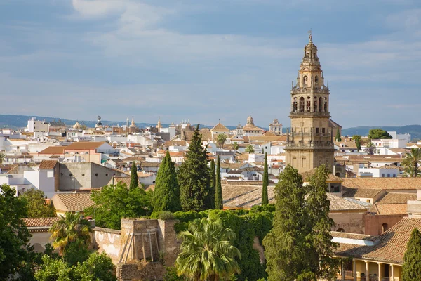 Cordoba - Widok z zamku Alcazar de los Reyes Cristianos do wieży katedralnej. — Zdjęcie stockowe