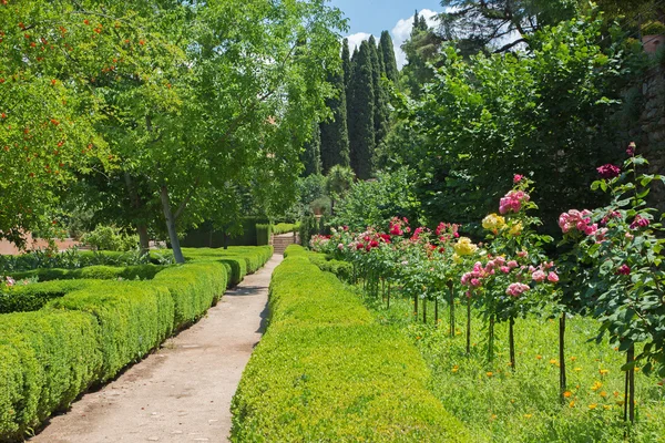 Granada - The Gardens of Alhambra palace — Stock Photo, Image