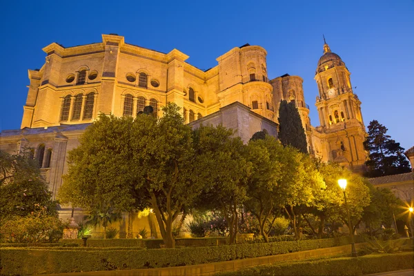 Malaga - de kathedraal in de schemering — Stockfoto