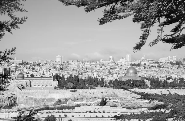 Вигляд з Оливкової гори на стародавнє місто — стокове фото