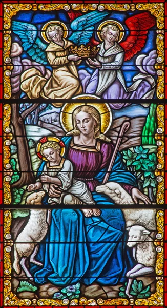 CORDOBA, ESPAGNE - 27 MAI 2015 : La Vierge avec l'enfant parmi les moutons sur la vitre de l'église Convento de Capuchinos (Iglesia Santo Anchel ). — Photo